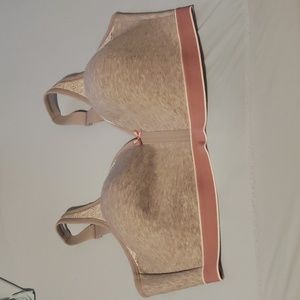 Cacique cotton no wire bra